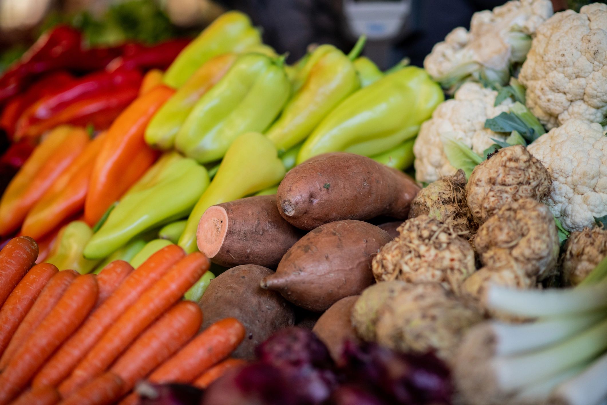 Assorted fresh organic vegetables displayed at a market stand