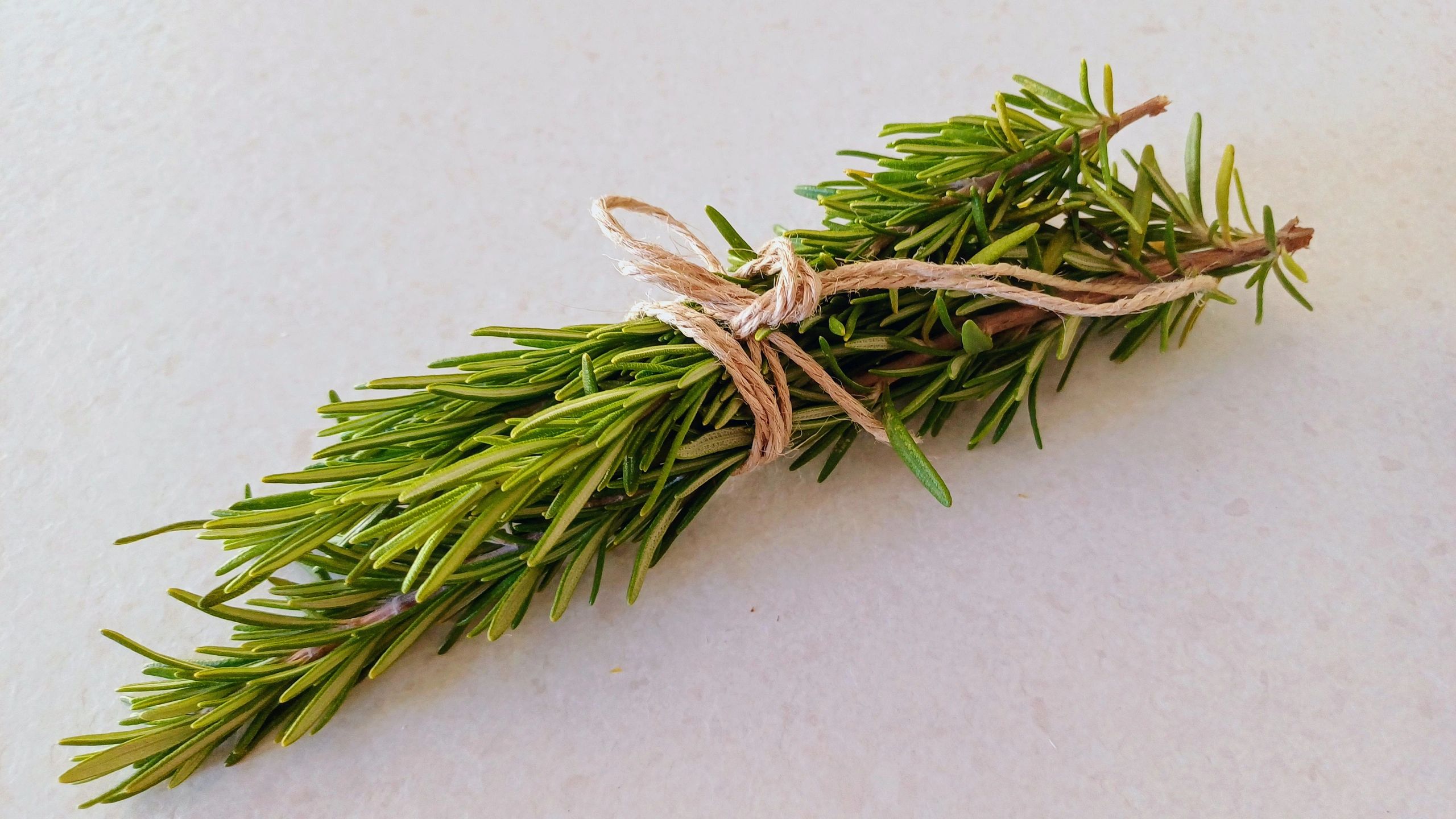 Fresh rosemary bunch
