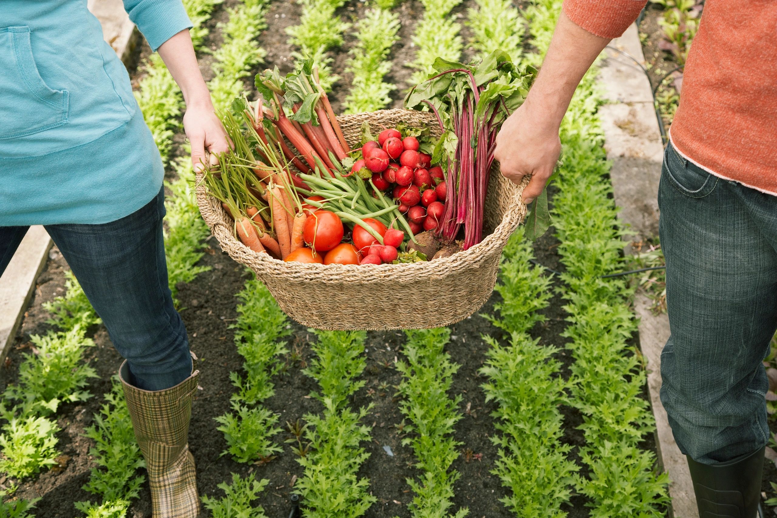 Farmer carrying a basket of vegetables